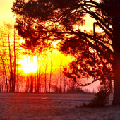východ slnka (21.03.2015)