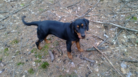 Trocha sme vyrastli. Fany z Hrachovskeho Vršku