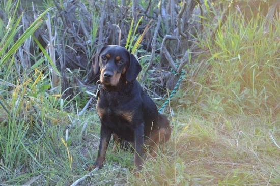 Heeerecka.. Fany z Hrachovského vŕšku