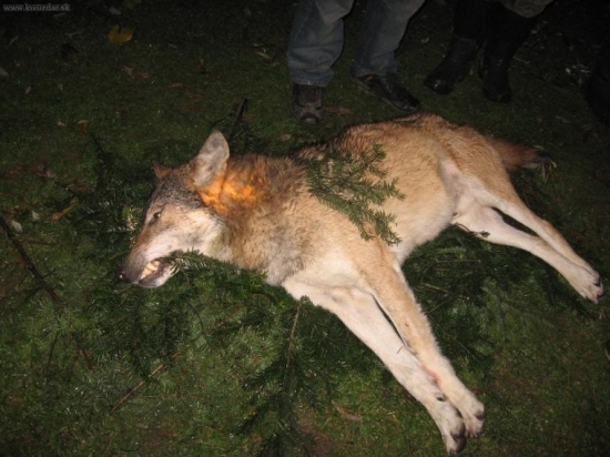 spomienka na rok 2007