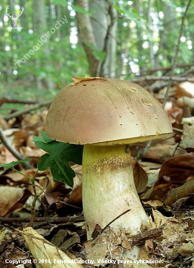 Nádherný