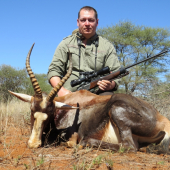 Blesbok