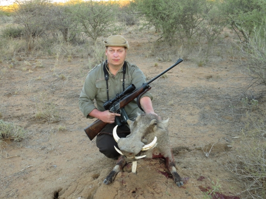 Sviňa bradavičnatá