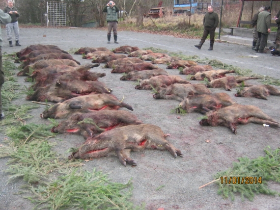 pozvání od kamarádů