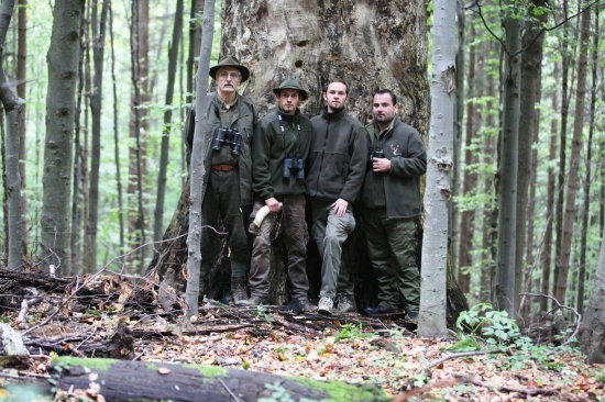 Pri najstaršom strome Poľany