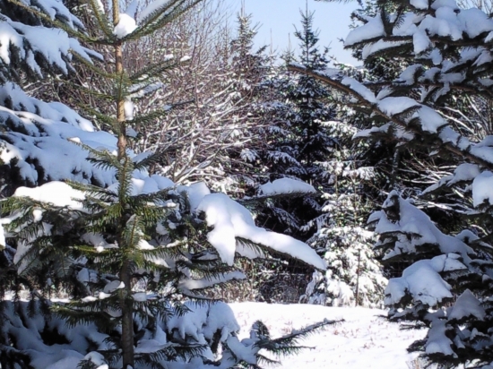 ... tíško odpočíva!