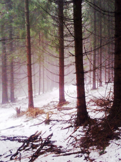 Trošku hmly nezaškodí ...