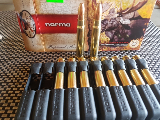 Norma Vulkan 15g, 9,3x62