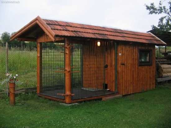 toto je dom mojho psa