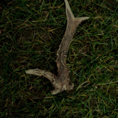 moj prvý zhodíček