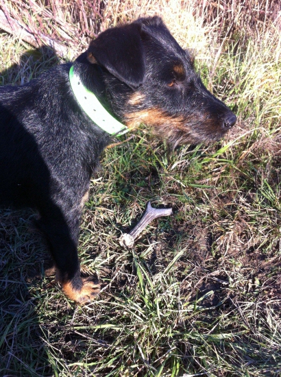 Vydarená dnešná vychádzka :)