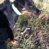 Vydarená dnešná vychádzka :)