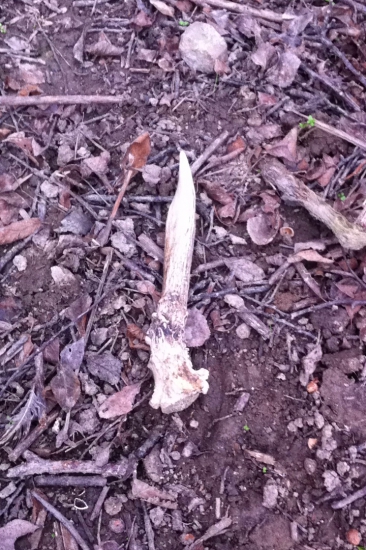 Ked takto ma to baví ;)