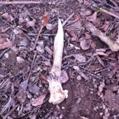 Ked takto ma to baví ;)