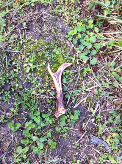 Prechádzka v daždi