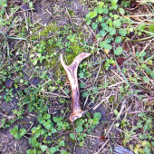 Prechádzka v daždi