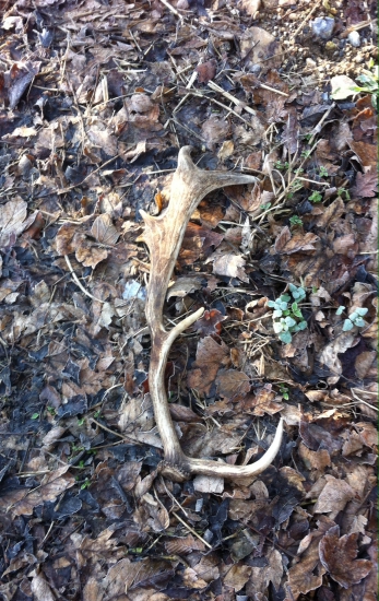 Moj prvý dančí zhodik moc moc potešil