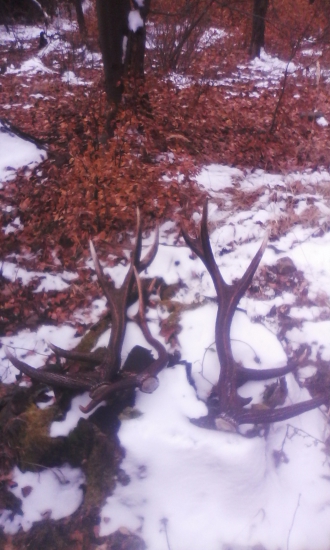 Dnešná prechádzka