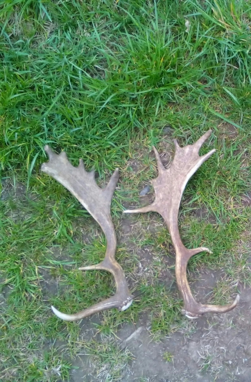 Dvojhodinova prechadzka