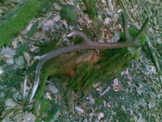 Včerajšia prechadzka