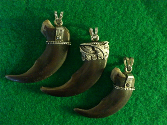 Strieborná obruba na medvedích pazúroch