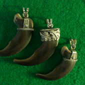 Strieborná obruba na medvedích pazúroch