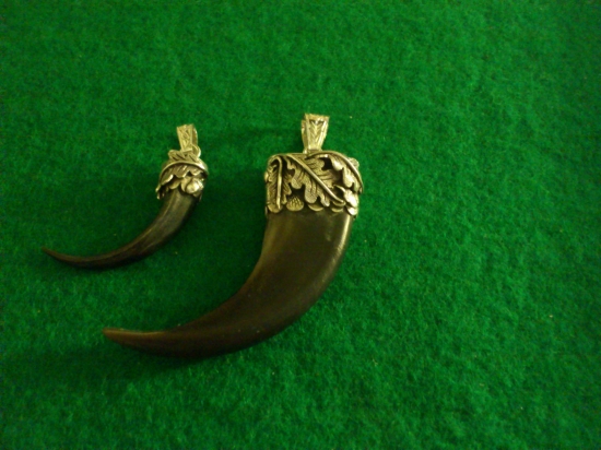 Strieborná obruba na pazúroch