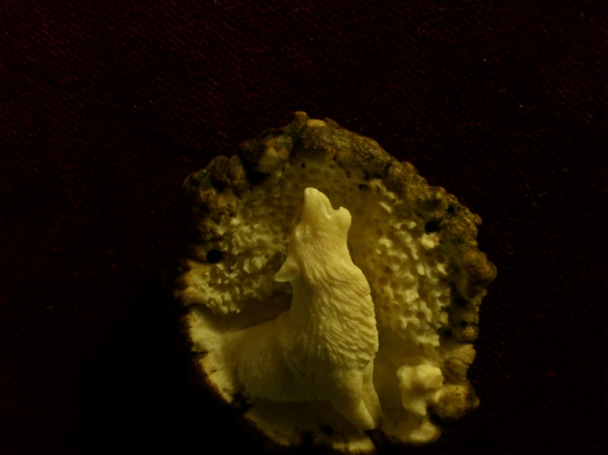 polovnícka kravata ...vlk