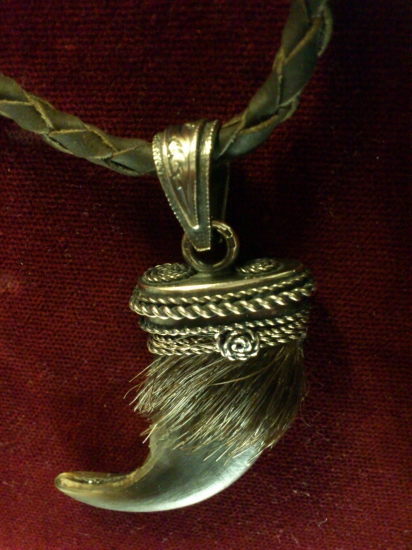 Medvedí pazúr so srsťou v striebornej objímke - prívesok