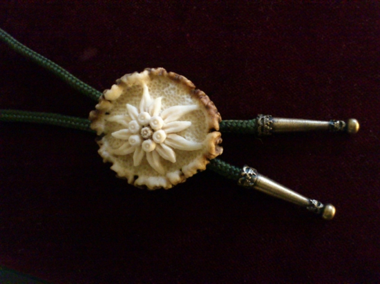 polovnícka kravata ...,,plesnivec,,