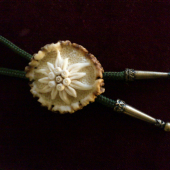 polovnícka kravata ...,,plesnivec,,