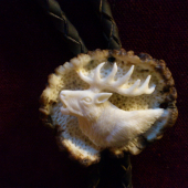 polovnícka kravata ...Jeleň,,