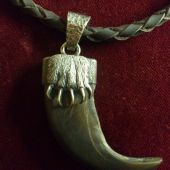 Medvedí pazúr v striebornej objímke - prívesok