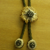 polovnicka kravata s plesnivcom ..