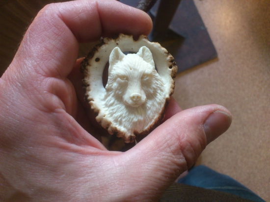 polovnícka kravata ...,portret vlka z predu.....