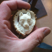 polovnícka kravata ...,portret vlka z predu.....