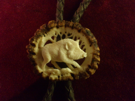 polovnícka kravata (Bolo) diviak