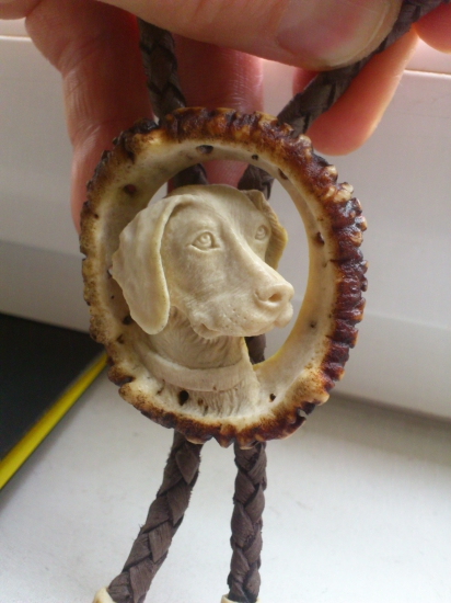 polovnícka kravata (Bolo) pes