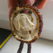 polovnícka kravata (Bolo) pes