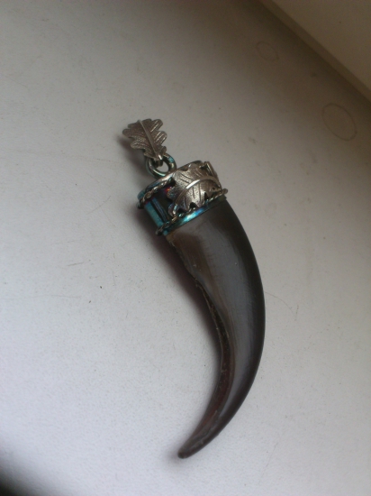 Medvedí pazur v striebornej objímke ,,príves s dubovými lístkami