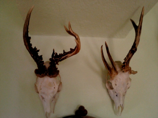 z mojich srdcoviek...