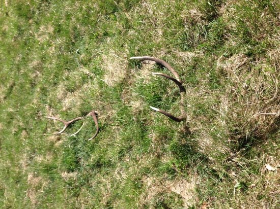 Konečne pár, 10torak