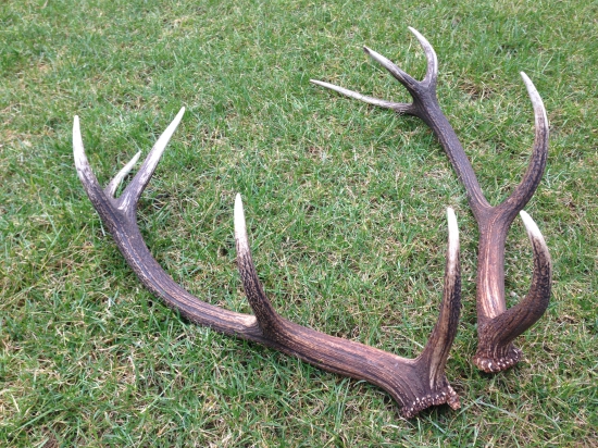 Dohľadaný pár k ID 287355