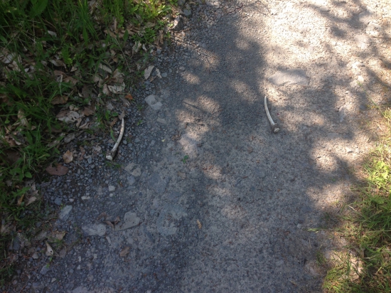 Predsa som to zakončil párom :D