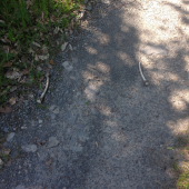 Predsa som to zakončil párom :D