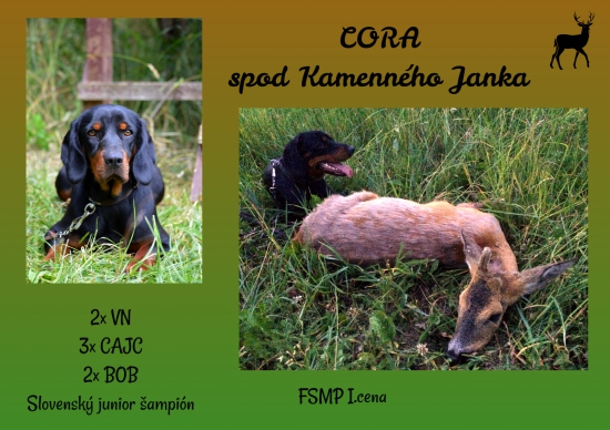 Cora spod Kamenného Janka