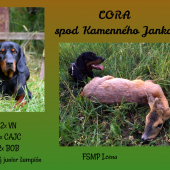 Cora spod Kamenného Janka