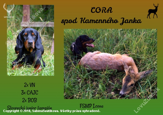 Cora spod Kamenného Janka