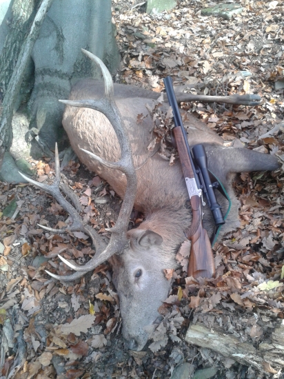 Taká pekná dvoječka.