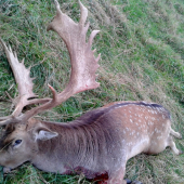 spomienka na začiatok ruje